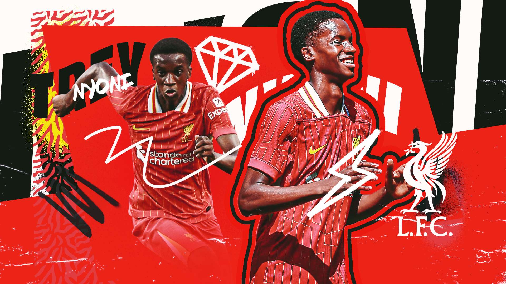 两种颜色的 两种颜色的